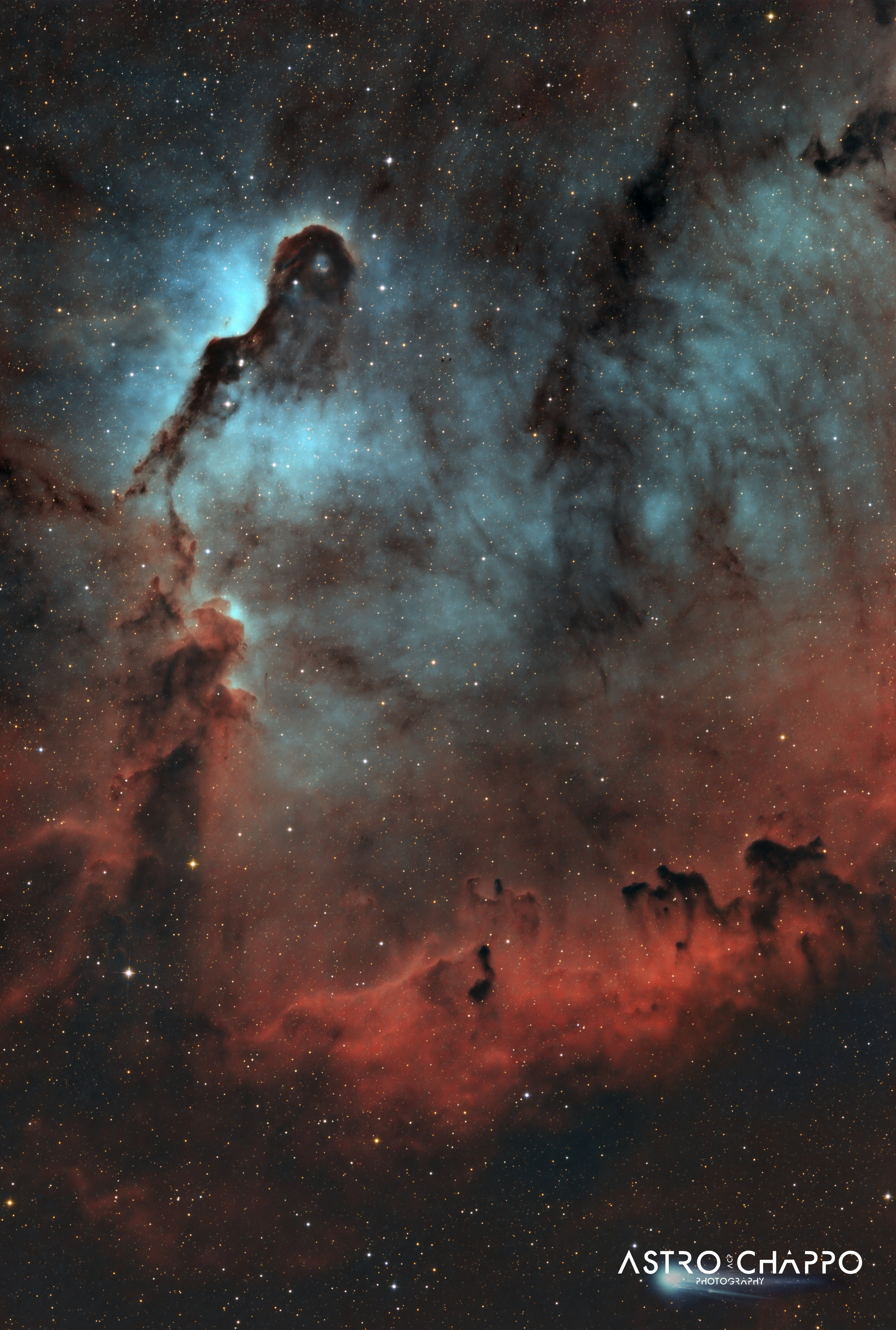 Elephant Trunk Nebula